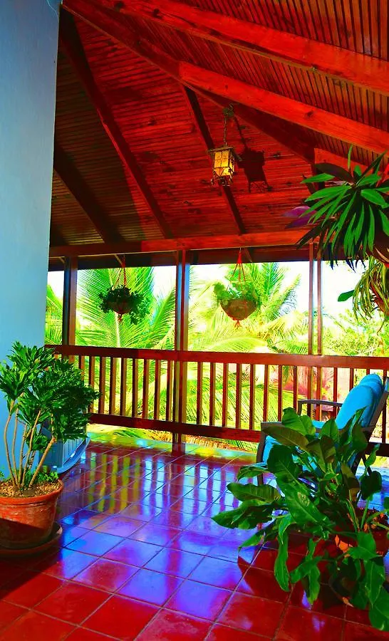 Bed & Breakfast Villa Celeste Estate Concepcion de La Vega