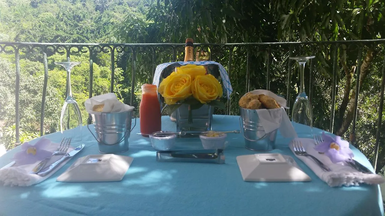 Villa Celeste Estate Concepcion de La Vega Bed & Breakfast